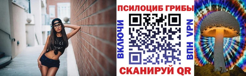 Псилоцибиновые грибы прущие грибы  дарнет шоп  Цимлянск 